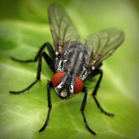 /album/oyun/photolia-a01-jpg/