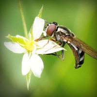 /album/oyun/photolia-a02-jpg/