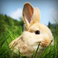 /album/oyun/photolia-a03-jpg/