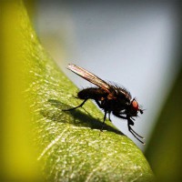 /album/oyun/photolia-a04-jpg/