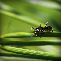 /album/oyun/photolia-a05-jpg/