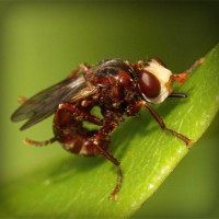 /album/oyun/photolia-a06-jpg/