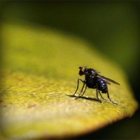 /album/oyun/photolia-a07-jpg/