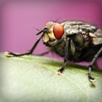 /album/oyun/photolia-a08-jpg/